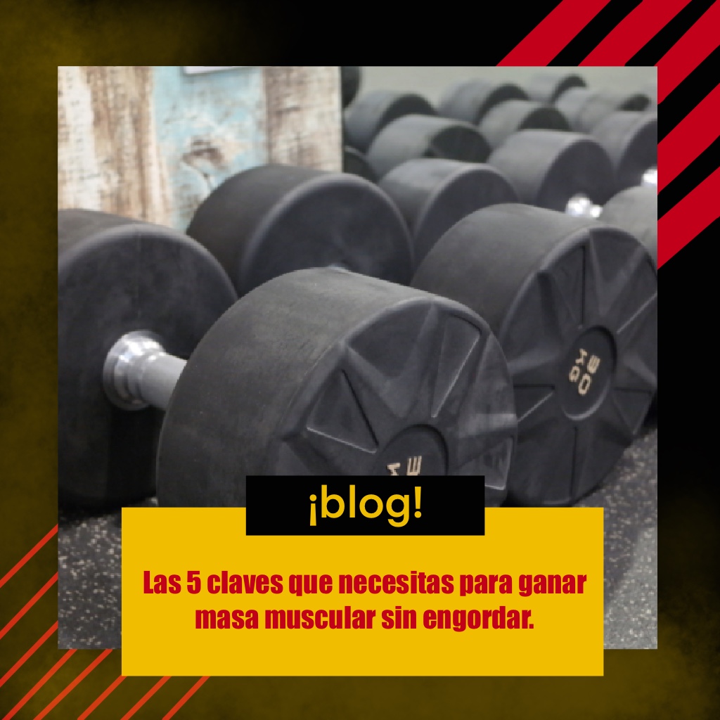 5_claves_para_ganar_musculo
