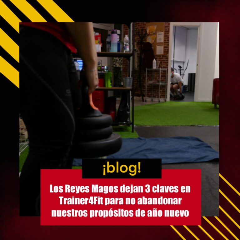 Propósitos Reyes